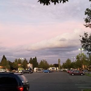 Meet your Posher, Gary